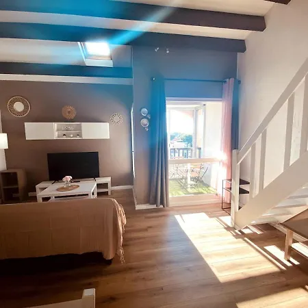 Apartment T2 Mezzanine Avec Loggia Vue Montagne Au Port De Saint-cyprien Saint-Cyprien (Pyrenees-Orientales)